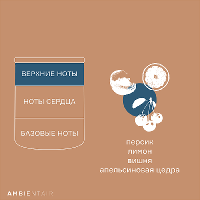 Свеча AMBIENTAIR Свеча ароматическая gifting, bisquit&berries, 40 ч арт. VV401GTTO