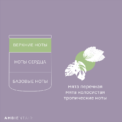 Свеча AMBIENTAIR Свеча ароматическая sublime, neroli&basil, 40 ч арт. VV040MTHPA