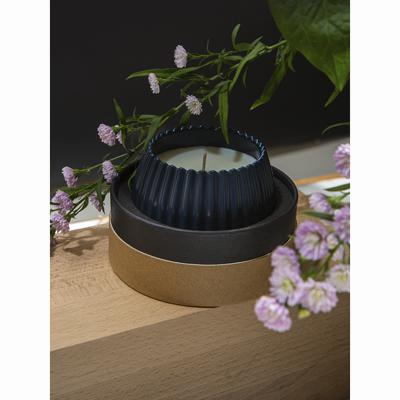 Свеча Tkano Свеча ароматическая nutmeg, leather & vanilla из коллекции edge, синий, 30 ч арт. TK23-ARO0006