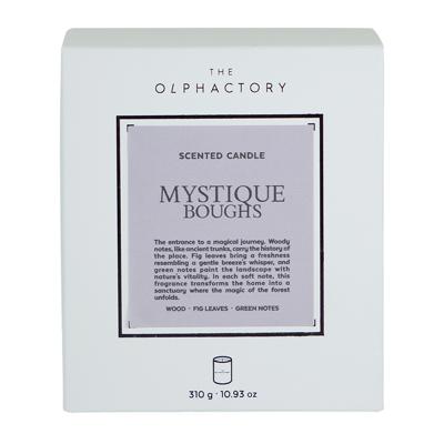 Свеча AMBIENTAIR Свеча ароматическая the olphactory, white insignia, mystique boughs, 60 ч арт. VV060MYWTO