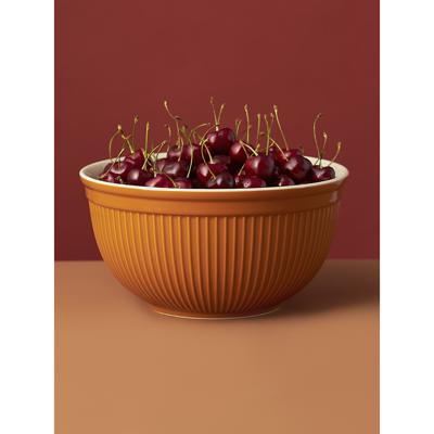 Миска ЯЯЯ Миска soft ripples, 3,9 л, карамельная арт. LJ000069