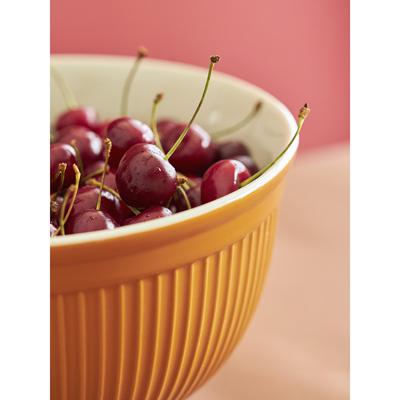 Миска ЯЯЯ Миска soft ripples, 3,9 л, карамельная арт. LJ000069