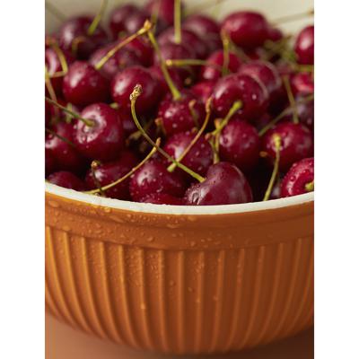 Миска ЯЯЯ Миска soft ripples, 3,9 л, карамельная арт. LJ000069