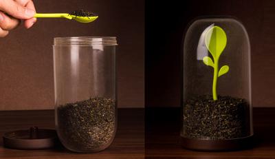 Контейнер QUALY Контейнер для сыпучих продуктов sprout jar арт. QL10205-BN