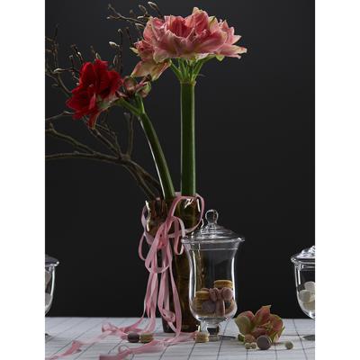 Набор посуды ЯЯЯ Бонбоньерка sugary, 29,3 см арт. LJ0000102