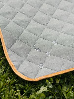 Аксессуар ЯЯЯ Плед для пикника и отдыха на пляже smart picnic, шалфей арт. SS0000318