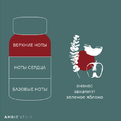 Аромат AMBIENTAIR Диффузор ароматический gifting, cinnamon&apple, 100 мл арт. MK100MCTO