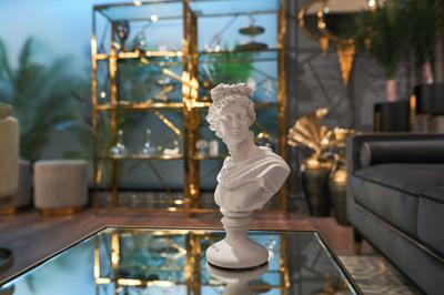Статуэтка Garda Decor 55RD3994 Статуэтка "Античный бюст" белая 20*30см арт. 55RD3994
