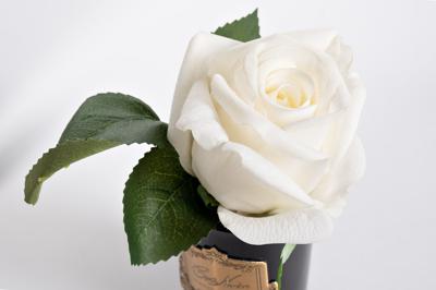 Аромат Garda Decor 96CN-RB41 Диффузор Роза белая (Rose Bud White), спрей Старинная роза (Rose Oud) 5мл в упаковке арт. 96CN-RB41