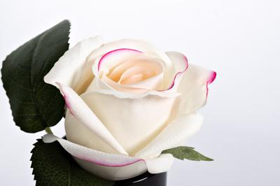 Аромат Garda Decor 96CN-RB42 Диффузор Роза св.розовая (Rose Bud Pink), спрей Лепесток роз (Rose Petal) 5мл в упак. арт. 96CN-RB42
