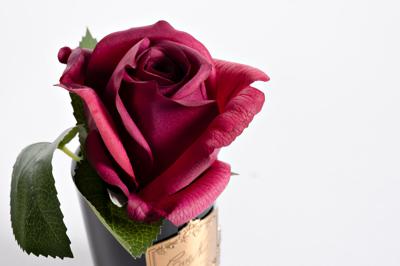 Аромат Garda Decor 96CN-RB44 Диффузор Роза красная (Rose Bud Red), спрей Лепесток Роз (Rose Petal) 5мл в упаковке арт. 96CN-RB44