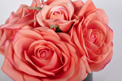 Аромат Garda Decor 96CN-RB65 Диффузор Пять персиковых роз(Five Rose Peach), спрей Старинная Роза(Rose Oud) 10мл в упак. арт. 96CN-RB65