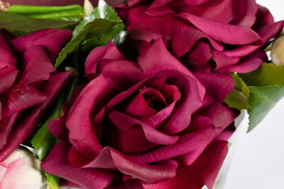 Аромат Garda Decor 96CN-LV22 Диффузор Овал красный (Oval Red), спрей Розовый пион (Pink Peonies) 2x10 мл в упак. арт. 96CN-LV22
