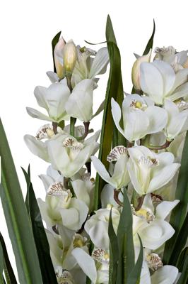 Цветок Garda Decor 29BJ-911-45 Орхидея Цимбидиум (Cymbidium) искусств. белая в горшке h110 см арт. 29BJ-911-45