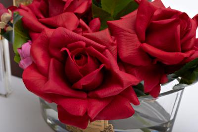 Подарок Garda Decor 96CN-LV2200 Диффузор Овал красный (Oval Red), спрей Зима в шато (Winter in Chateau) 2х10мл в уп. арт. 96CN-LV2200