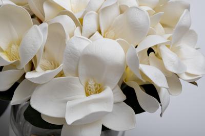 Подарок Garda Decor 96CN-RG0005 Диффузор Белая магнолия (Magnolia white), спрей Зима (Winter in Chateau) 2*10 ml упак. арт. 96CN-RG0005