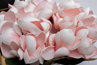 Подарок Garda Decor 96CN-RG0002 Диффузор Роз.Магнолия(Magnolia pink), спрей Зима(Winter)10ml +спрей Роза(Rose)10ml в уп. арт. 96CN-RG0002