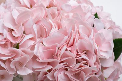 Подарок Garda Decor 96CN-RB0020 Диффузор Гортензия розовая (Hydrangea&Rosebud),спрей Живая вода(Eau de vie) 2*10ml в уп. арт. 96CN-RB0020