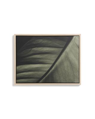Декор La Forma (ех Julia Grup) Фотография листа Foliae размер 32,5 x 42,5 см арт. 481677