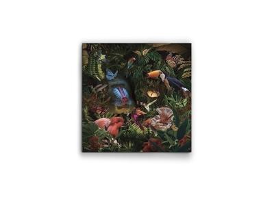 Постер Schuller Фотография Selvatica 100x100 см арт. 154516