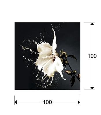 Постер Schuller Печатная фотография Splash 100x100 арт. 099120