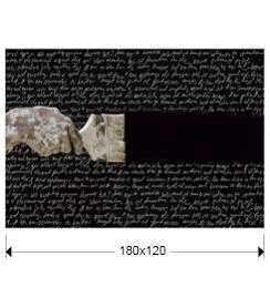 Постер Schuller Фотография Poesia 180x120 арт. 153024