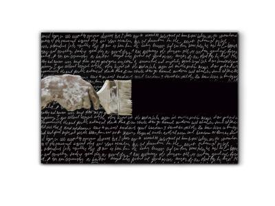 Постер Schuller Фотография Poesia 180x120 арт. 153024