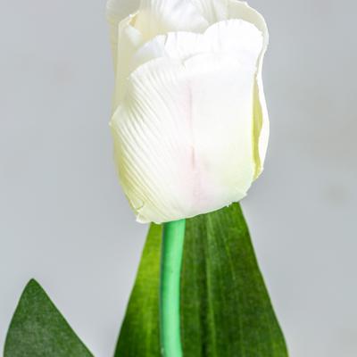 Цветок Vical Цветок TULIPAN в белом цвете арт. 170987