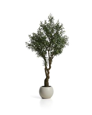 Цветок La Forma (ех Julia Grup) Искусственное дерево Artificial Olive в белом горшке, 210 см арт. 482455