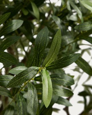 Цветок La Forma (ех Julia Grup) Искусственное дерево Artificial Olive в белом горшке, 210 см арт. 482455