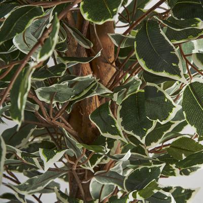 Цветок Vical Искусственное растение FICUS арт. 167353