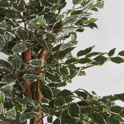 Цветок Vical Искусственное растение FICUS арт. 167353