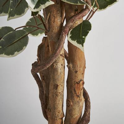 Цветок Vical Искусственное растение FICUS арт. 167353
