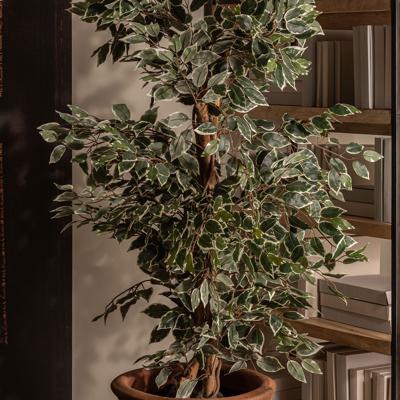 Цветок Vical Искусственное растение FICUS арт. 167353