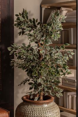 Цветок Vical Искусственное растение FICUS арт. 167353