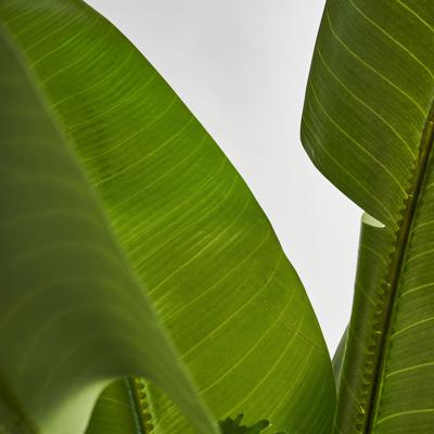 Цветок Vical Искусственное растение BANANERA 29116 арт. 167363