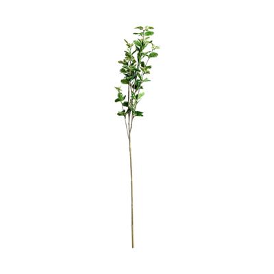 Цветок Vical Листья растения FICUS арт. 170971