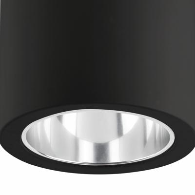Потолочный светильник Faro Потолочный светильник Pote-1 черный 1L арт. 059561
