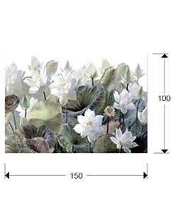 Постер Schuller Фотография Nenufares 150x100 см арт. 156198