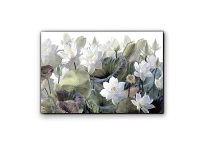 Постер Schuller Фотография Nenufares 150x100 см арт. 156198