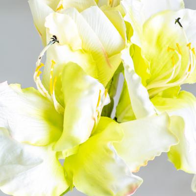 Цветок Vical Цветок AMARYLLIS цвет белый арт. 170963