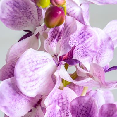 Цветок Vical Цветок фиолетового цвета ORQUÍDEA арт. 171009