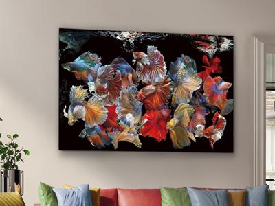 Постер Schuller Фотография на стекле Peces Siam 150x100 арт. 189915