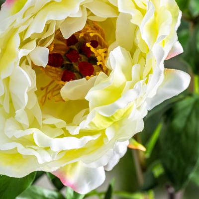 Цветок Vical Цветок белого цвета ROSA арт. 170999