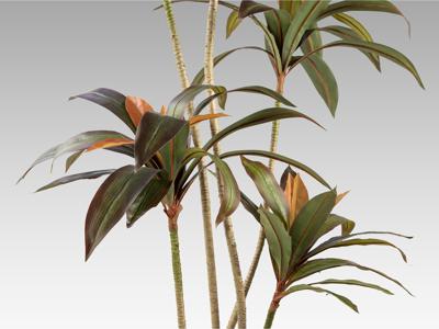 Цветок Schuller Dracena roja Искусственное растение H220 арт. 465761