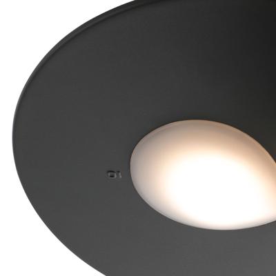 Бра Faro Уличное бра Lotus темно-серое арт. 068407
