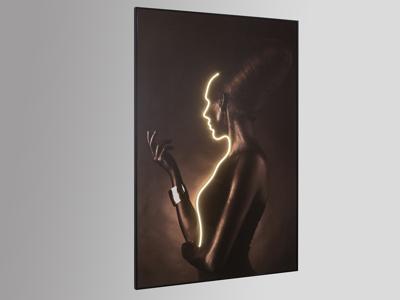 Постер Schuller Silueta Светодиодная картина LED 120X180 арт. 439150