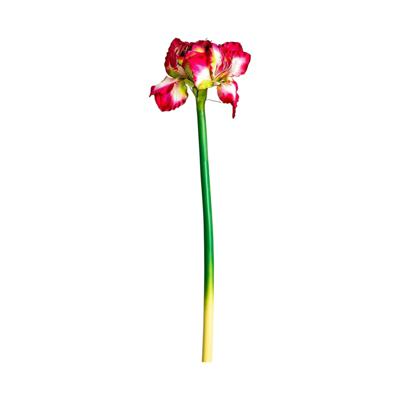 Цветок Vical Цветок AMARYLLIS цвет фуксии арт. 170961