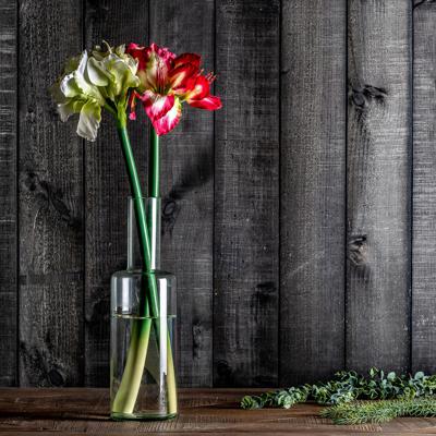 Цветок Vical Цветок AMARYLLIS цвет фуксии арт. 170961