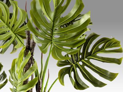 Цветок Schuller Monstera Искусственное растение H210 арт. 465755